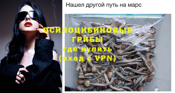 прущие крисы Козловка