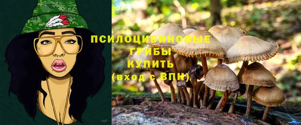 МДМА Лагань
